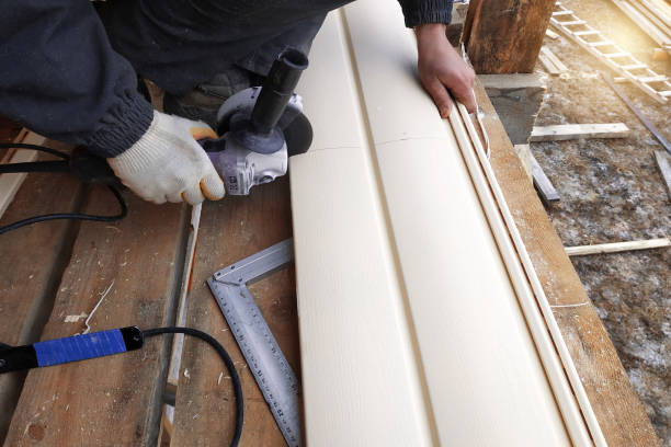 Best Vinyl Siding Installation  in Manassas Park, VA