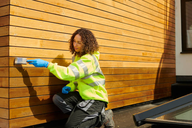 Best Custom Trim and Detailing for Siding  in Manassas Park, VA