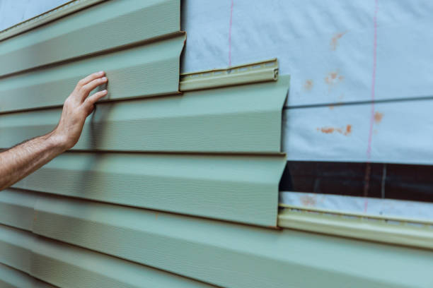 Best Stucco Siding  in Manassas Park, VA